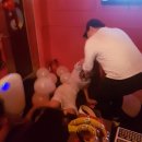 파티노래주점 - 순천시 장선배기1길 32-1 | 파티노래주점