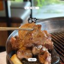 고기맛집 - 김해시 내덕로4번길 23 | 속초 삼겹살 맛집 굽탁 현지인도 찾는 프리미엄 돼지고기 맛집 후기