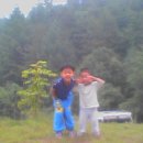 돌배나무 세그루 이미지