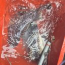 씨엔텔 민박 이미지