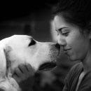 유대감집 이미지