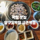 금촌역 | 금촌역맛집 달구지막창 금촌점 돼지막창 후기