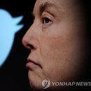 [美중간선거] 트위터에 "와이파이로 투표기 조작" 음모론 기승…머스크 탓? 이미지