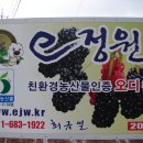용천농장 이미지