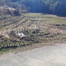 대나무골농장 이미지