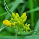 마산 봉암수원지 이미지