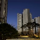 신남초정문 | 목동 학군지 공부 (feat. 신정동 신축 투어)