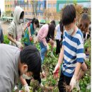 서경초교 이미지