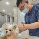 효천동물병원 이미지