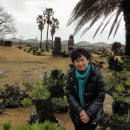 수산리-19 이미지