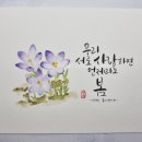 붓펜&수채캘리그라피 이미지