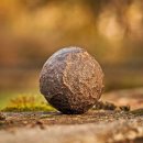 샛별세탁소 이미지