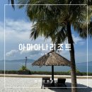 나트랑 아미아나리조트 조식 수영장 스노쿨링 해피아워 무료 티타임