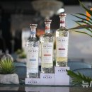 아가베 서울(Agave) 이미지