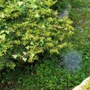 허암유고 이미지