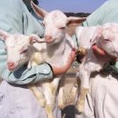 도토리마을 이미지