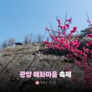 광양매화문화관 | 광양매화마을 실시간 축제 후기 | 제일먼저 찾아오는 봄꽃여행지