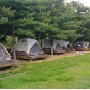 성동 서울숲 여름캠핑장 이미지