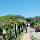 새고개민박 이미지