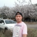 35세 삼회리 북한강로 벚꽃길18 이미지