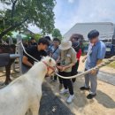 성분도복지관 이미지