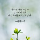 3월 11일(월)아침을 여는 건강한 에코힐링(글 전체보기는 글주소 클릭!) 이미지