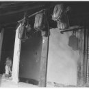 포근한병원 이미지