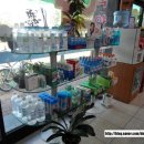 푸른샘약국 이미지