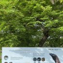 영광군환경관리센터 | 5일차] 발리 근교 코모도 리브어보드 3일차 리얼 후기✨ 코모도 드래곤 실제로 본 후기 + 국립공원 방문기