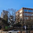 파크타운.양지마을 | [분당 임장2] 수내동 푸른마을 파크타운 양지마을 정자동 파크뷰