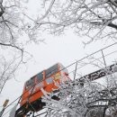 함양얼음 이미지