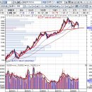 08년 7월2일 폭락의 지속인가 6.29 급락장속 유망주-신성건설 6.28 적정주가예측모델 6.27 -미국시장급락 6.25 - 포트1호점검-참앤씨, 대한유화, SG위카스, 이미지