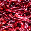 솔뫼농장 이미지