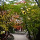 에버메딕스 이미지