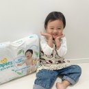 ㈜기반 | 팸퍼스2026 터치오브네이처썸머팬티 실제 사용 후기와 장단점 정리