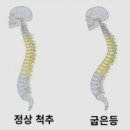 노브레이크PT헬스 이미지