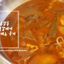신마포 갈매기(용답점) | 용답동 신마포갈매기 답십리역 근처 밥집 후기