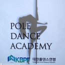 대한폴댄스연맹학원 이미지