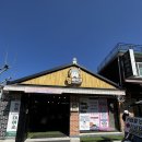 강아지마을 | 전주 한옥마을 강아지 바이크 멍바이크 전동바이크 후기