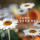 에듀메카학원