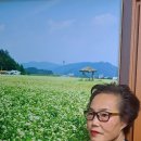 제주숯불갈비명가 이미지