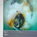 CH동물병원 이미지