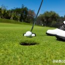 홀컵골프아카데미 이미지