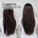 극손상트리트먼트 찾는다면 다이소 리노이아 헤어트리트먼트 사용 후기