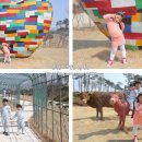 안성맞춤천문과학관 이미지