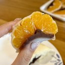 쉴틈올레 | 올레시장 가면 꼭 들러야 할 제주 감귤모찌 맛집 할머니떡집 후기