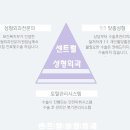센트럴성형외과