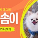봄이 식당 이미지