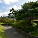 에이원 CC 이미지