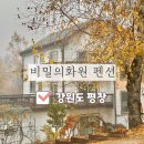 담쟁이화원 이미지
